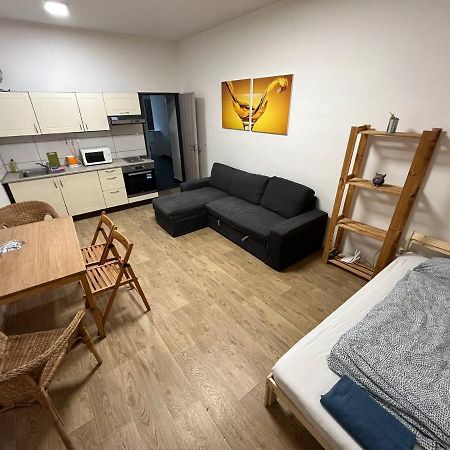 브르노 Apartmans In The Center With Privat Parking 아파트 외부 사진