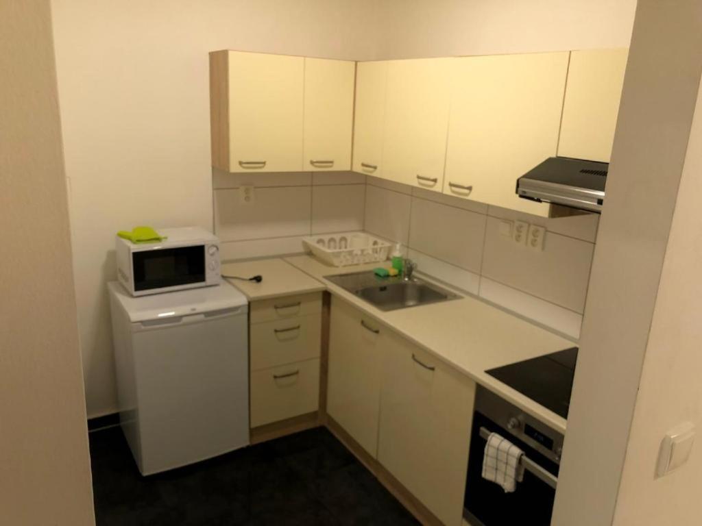 브르노 Apartmans In The Center With Privat Parking 아파트 외부 사진