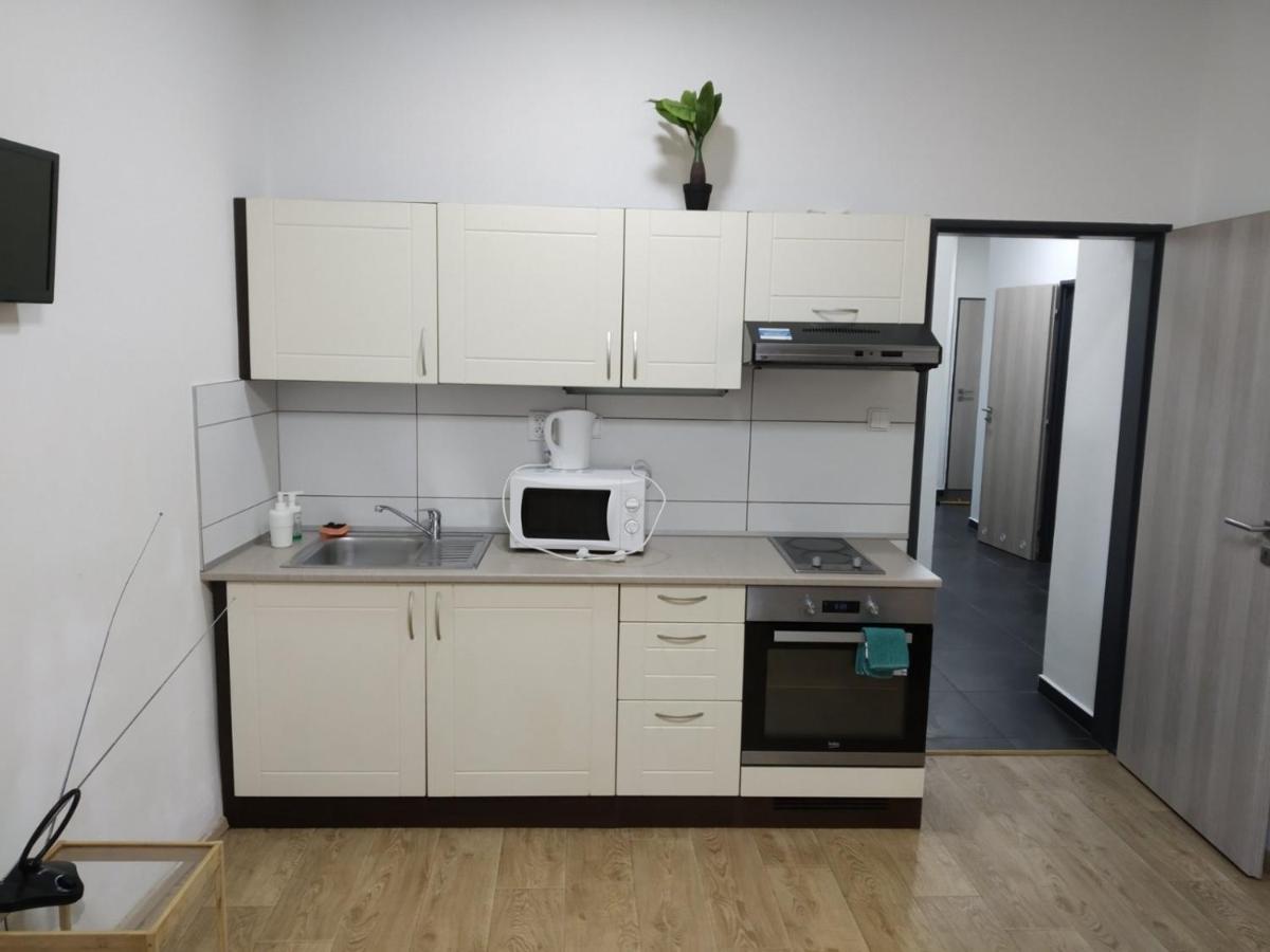 브르노 Apartmans In The Center With Privat Parking 아파트 외부 사진