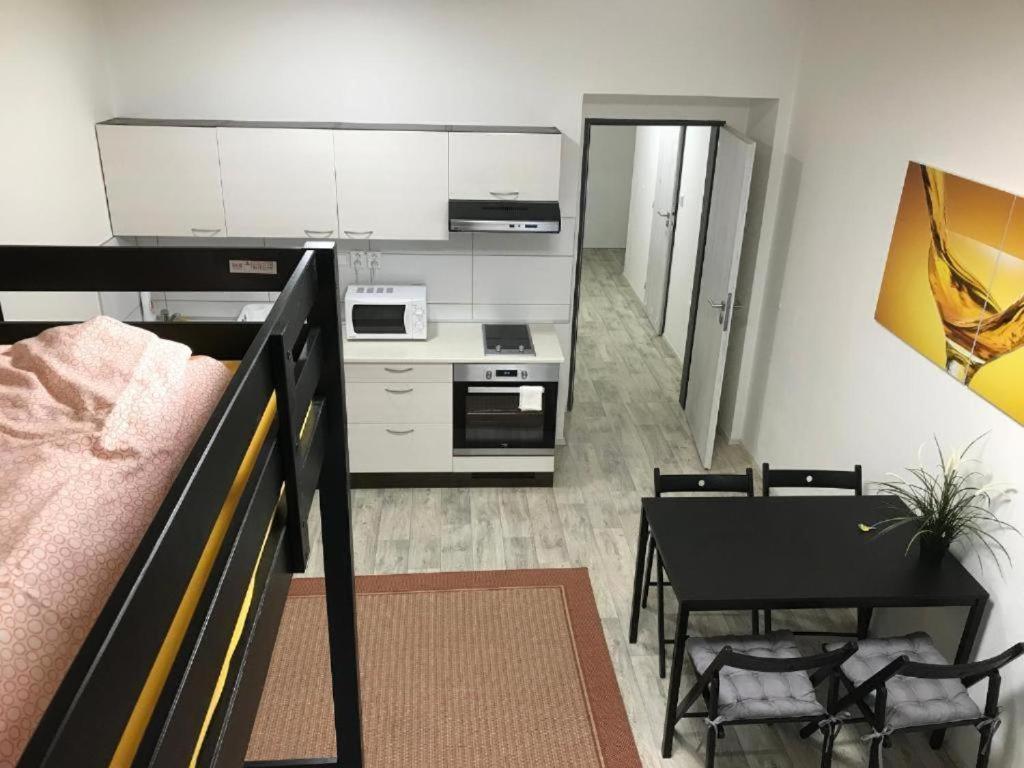 브르노 Apartmans In The Center With Privat Parking 아파트 외부 사진